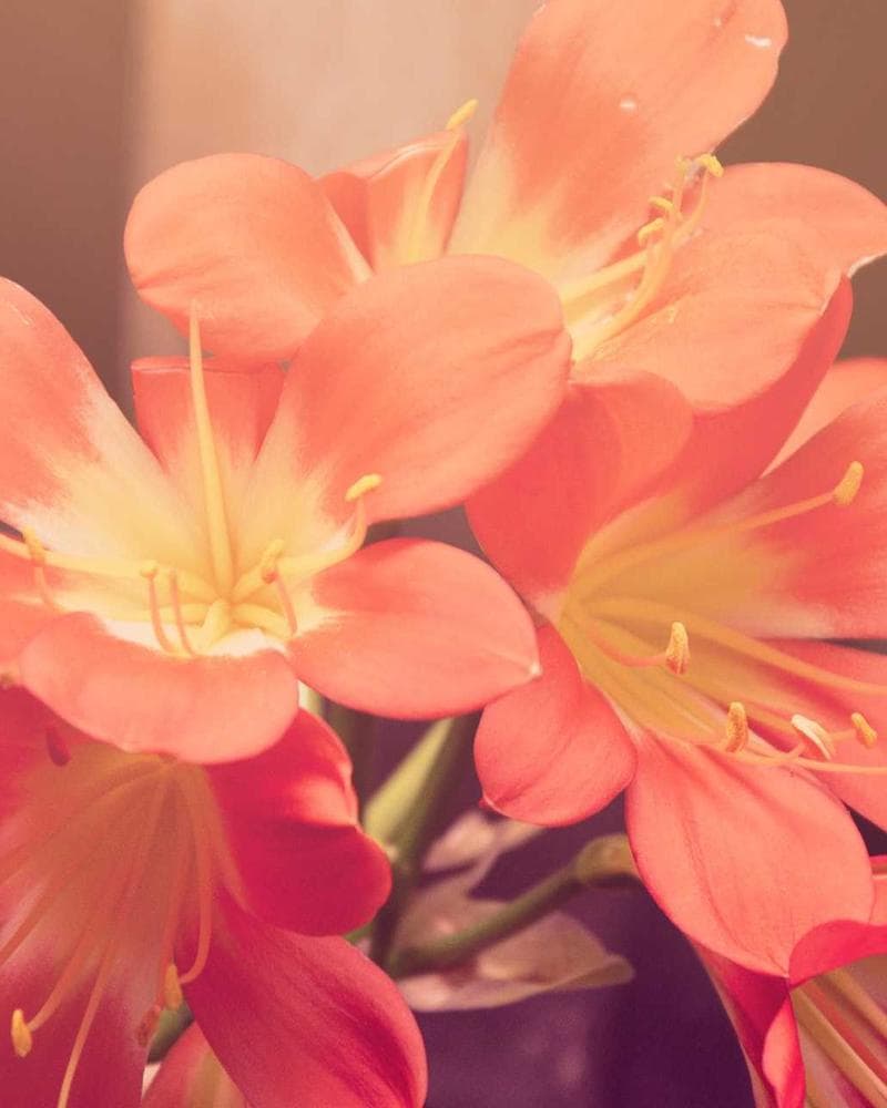 Emmanuel Pimont - Expert QSE & Auditeur Senior